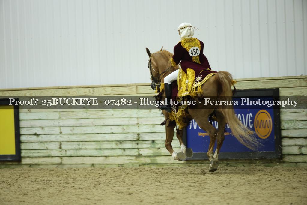 Proof Number 25BUCKEYE_07482