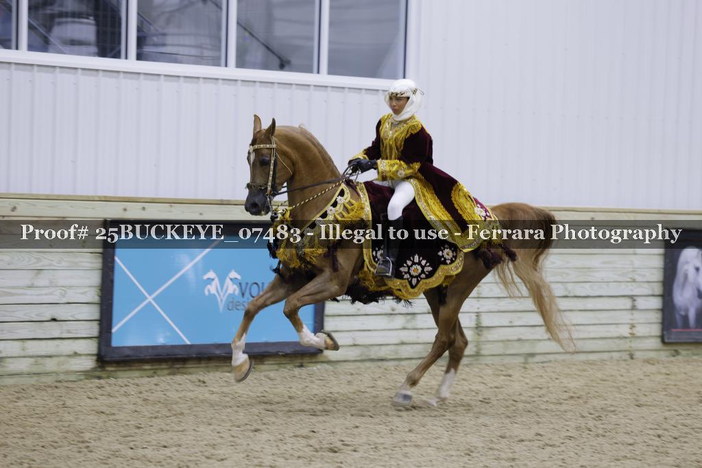 Proof Number 25BUCKEYE_07483