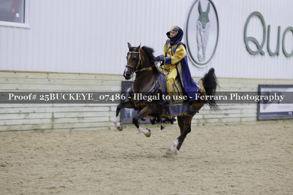 Proof Number 25BUCKEYE_07486