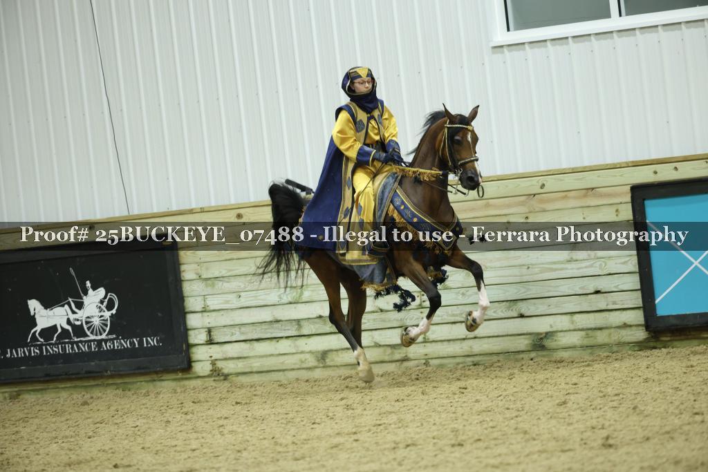 Proof Number 25BUCKEYE_07488