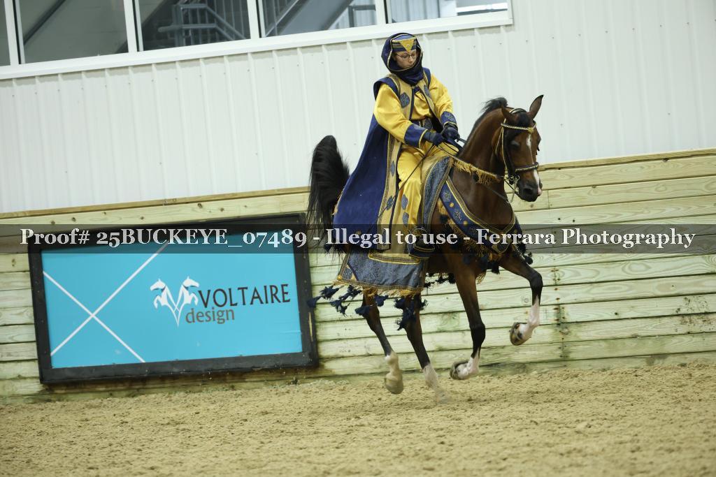 Proof Number 25BUCKEYE_07489