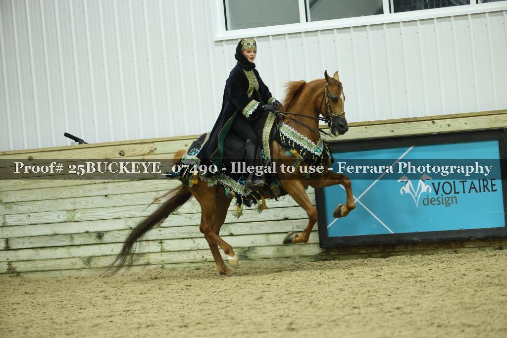 Proof Number 25BUCKEYE_07490