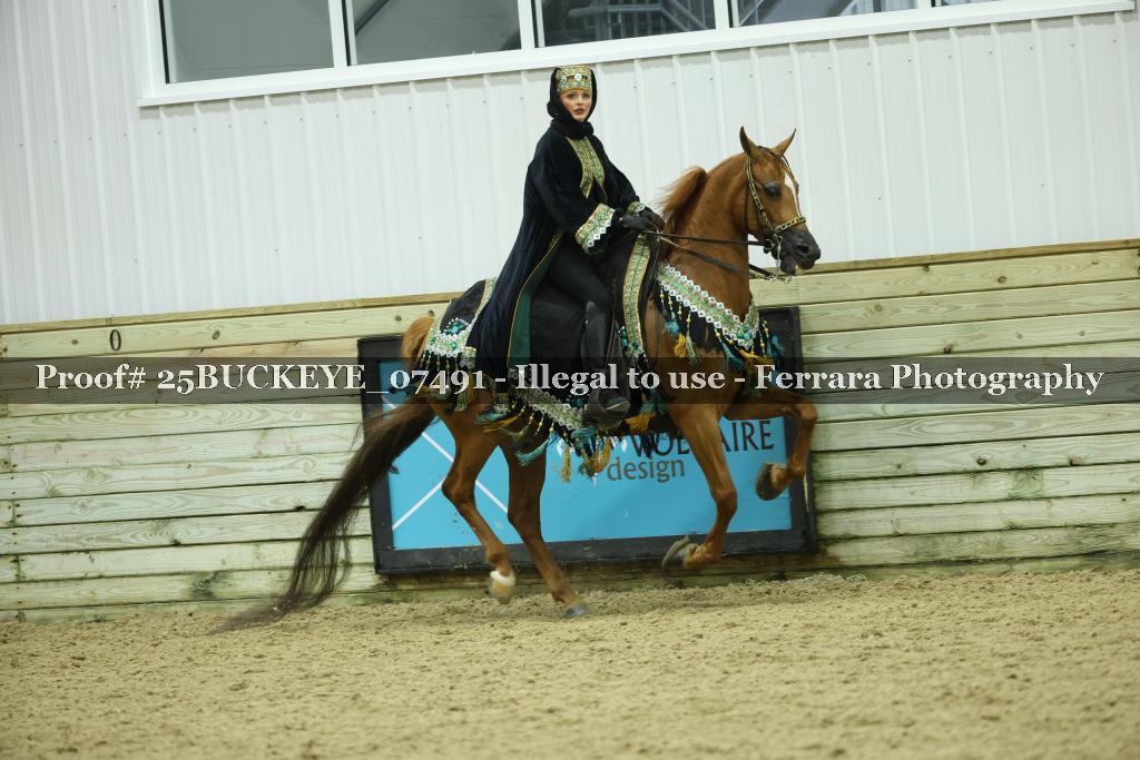Proof Number 25BUCKEYE_07491