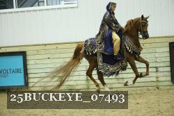 25BUCKEYE_07493 thumbnail