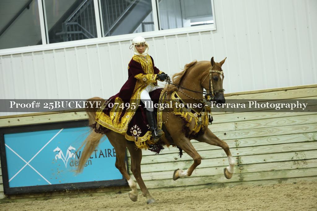 Proof Number 25BUCKEYE_07495