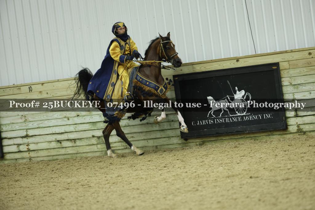 Proof Number 25BUCKEYE_07496