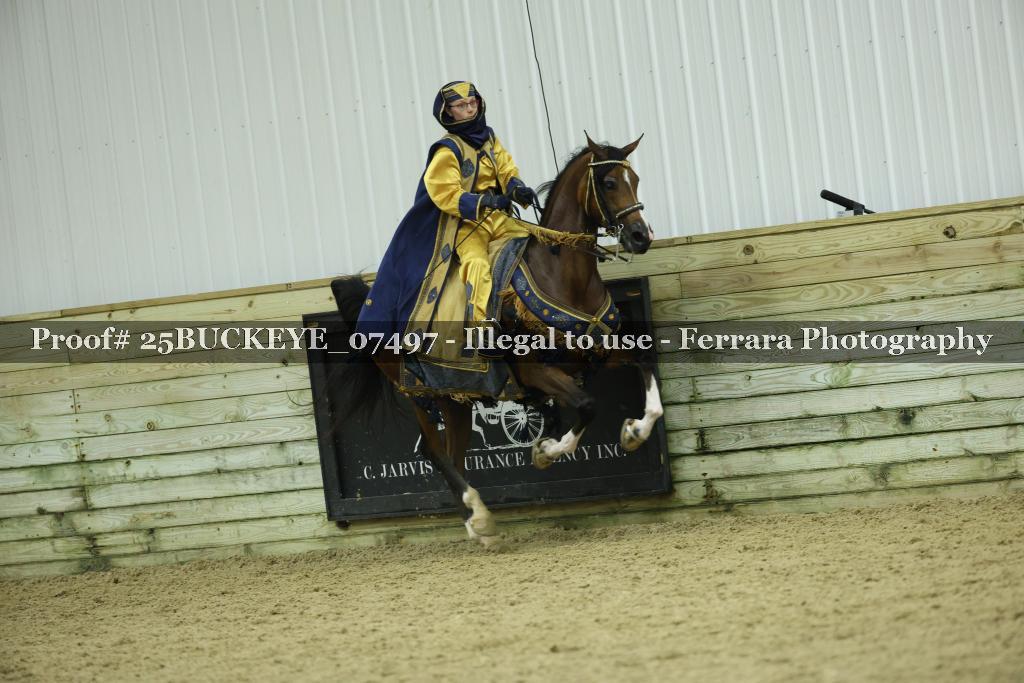 Proof Number 25BUCKEYE_07497