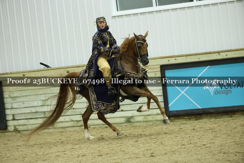 Proof Number 25BUCKEYE_07498