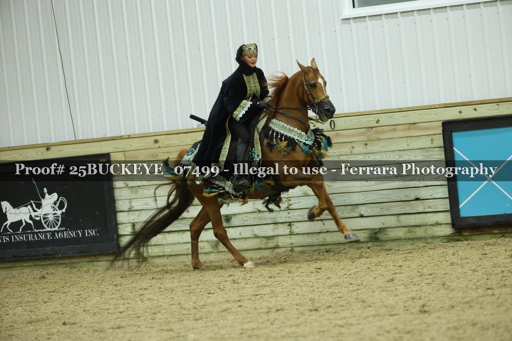 Proof Number 25BUCKEYE_07499