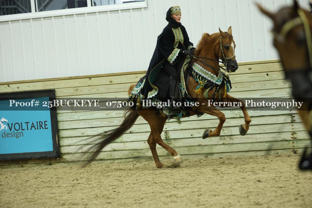 Proof Number 25BUCKEYE_07500