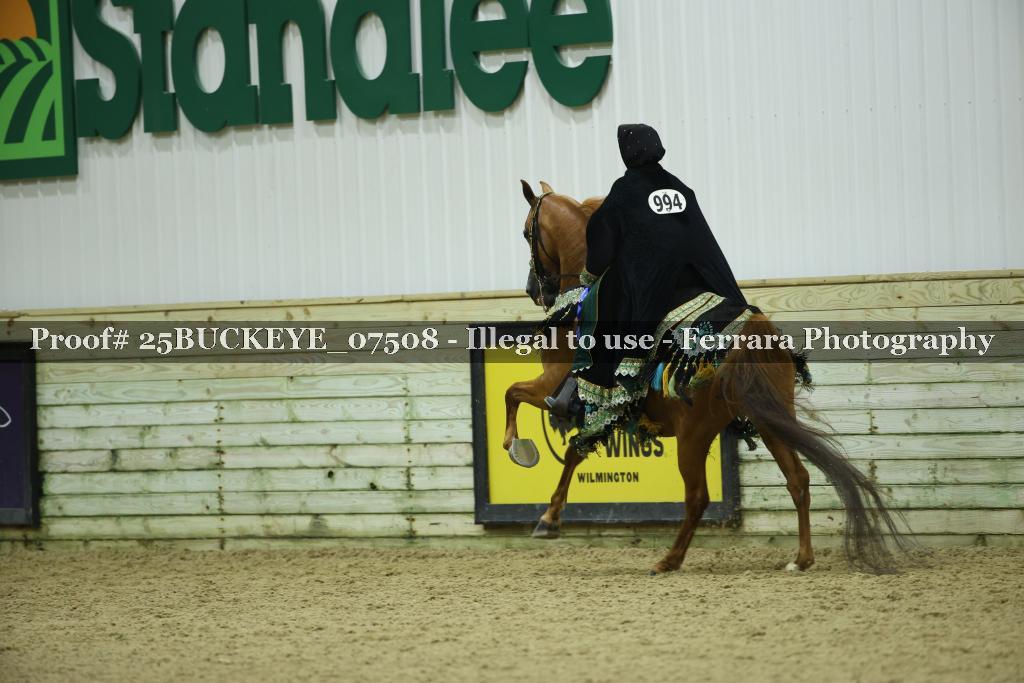Proof Number 25BUCKEYE_07508