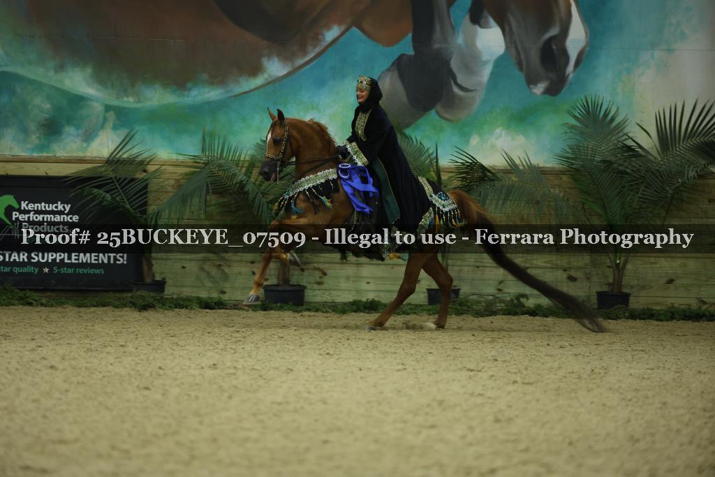 Proof Number 25BUCKEYE_07509