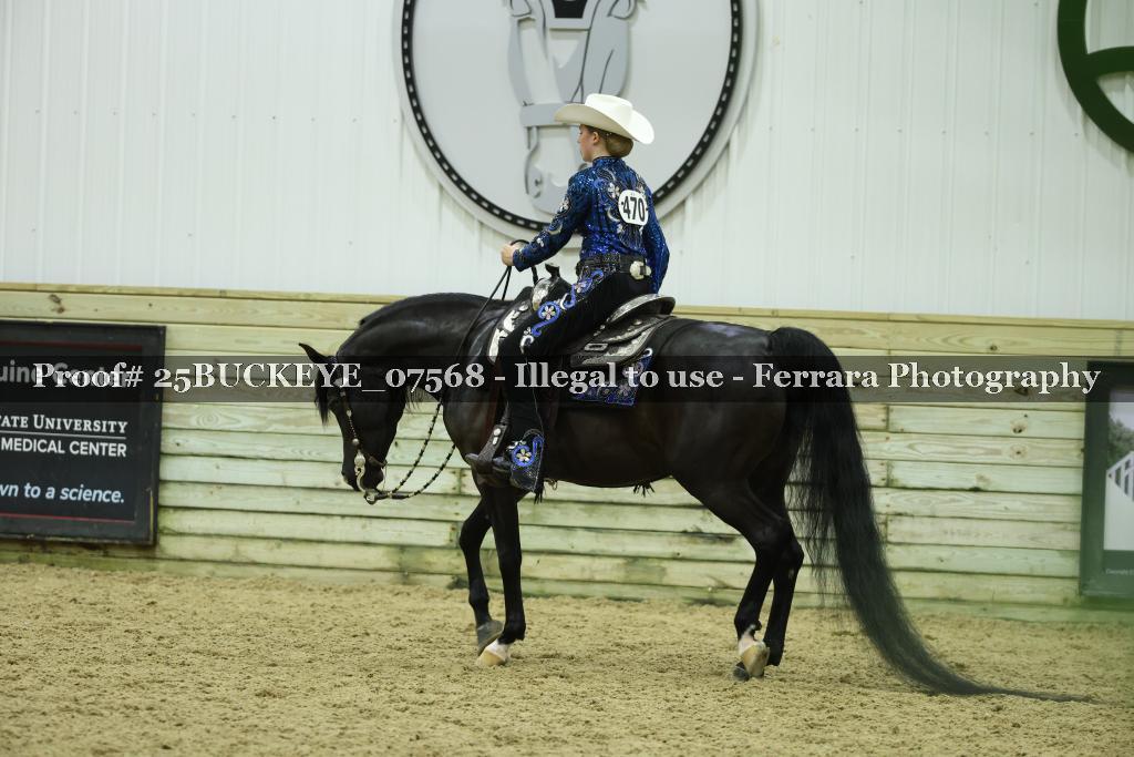 Proof Number 25BUCKEYE_07568