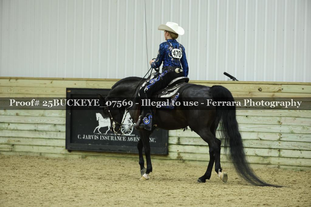 Proof Number 25BUCKEYE_07569