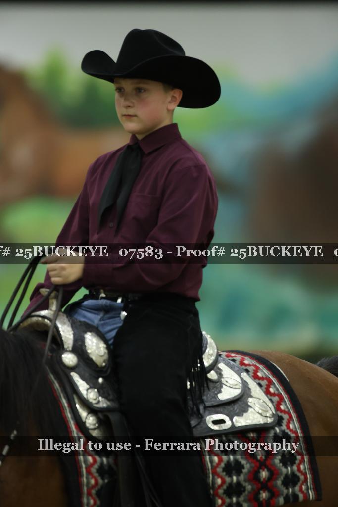 Proof Number 25BUCKEYE_07583
