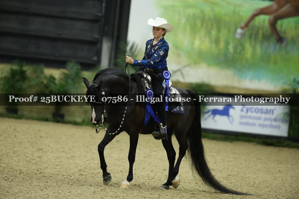 Proof Number 25BUCKEYE_07586