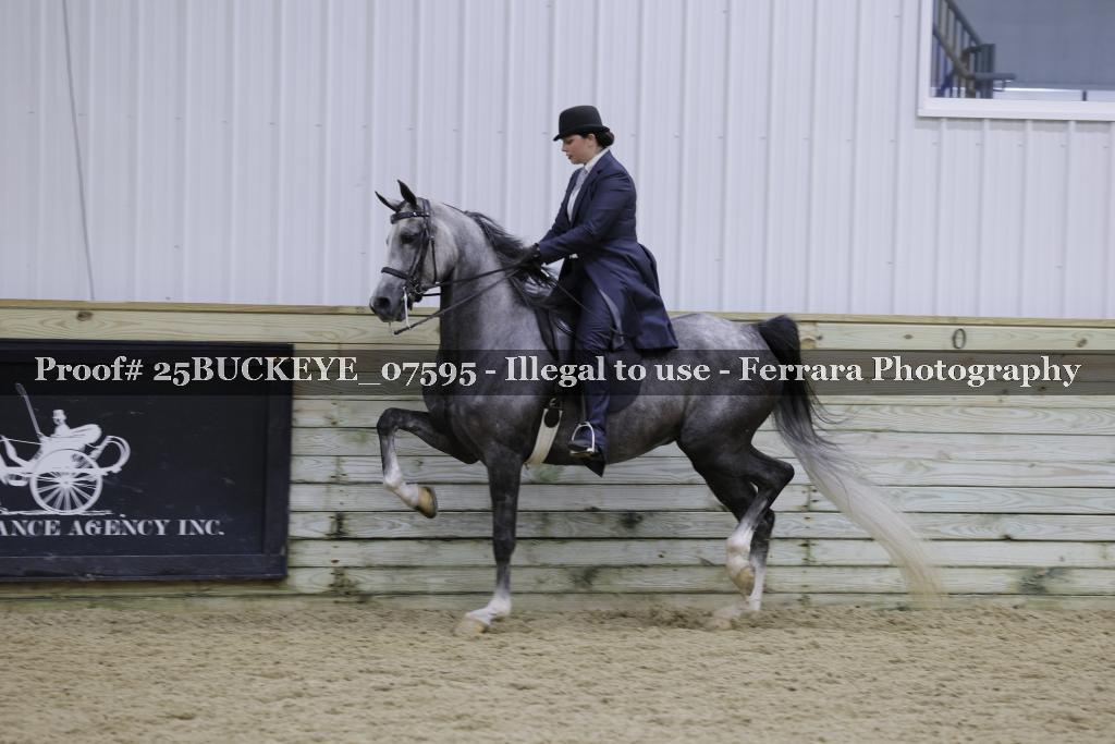 Proof Number 25BUCKEYE_07595