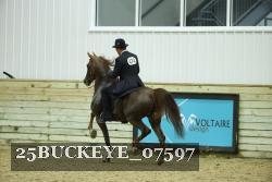 25BUCKEYE_07597 thumbnail