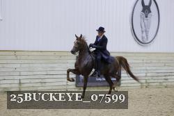 25BUCKEYE_07599 thumbnail