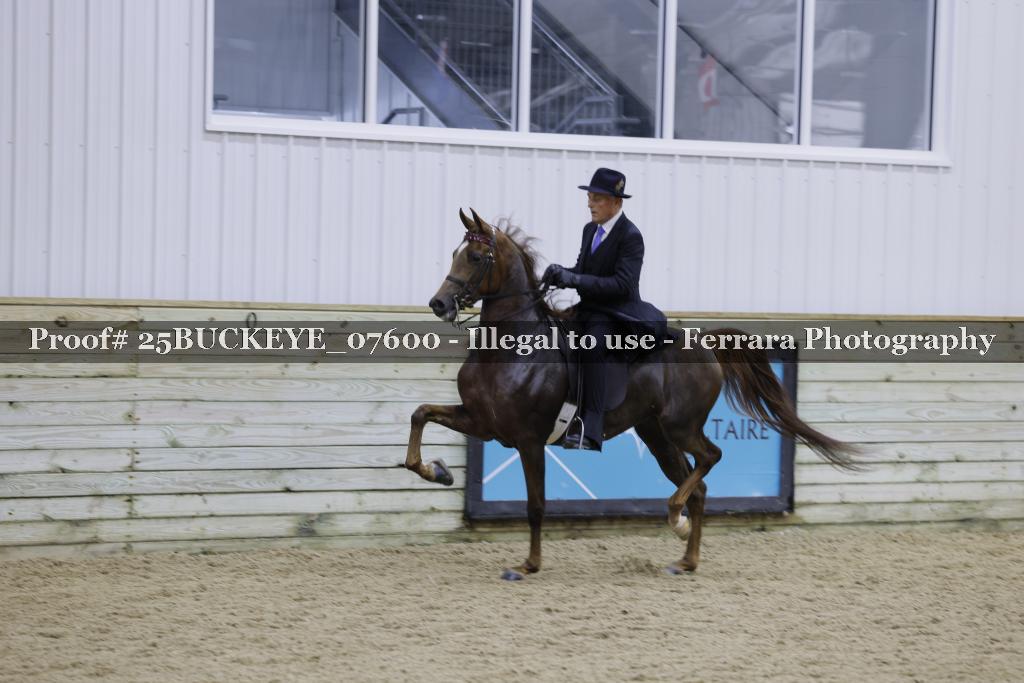 Proof Number 25BUCKEYE_07600