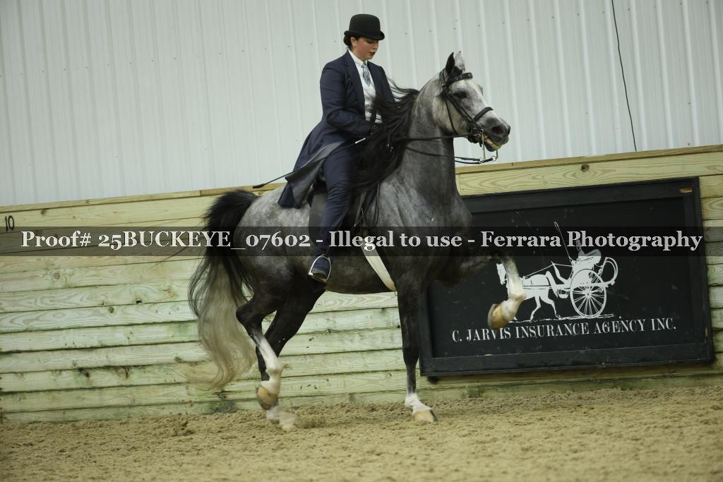 Proof Number 25BUCKEYE_07602