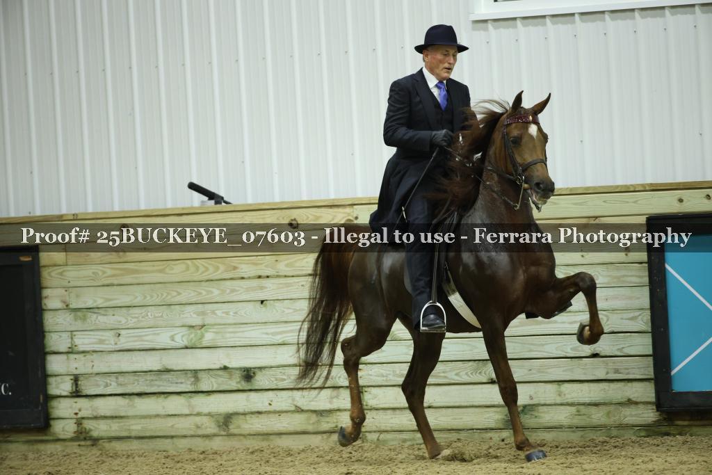 Proof Number 25BUCKEYE_07603