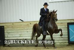 25BUCKEYE_07603 thumbnail