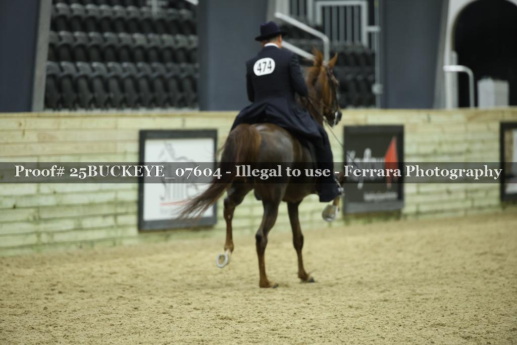 Proof Number 25BUCKEYE_07604