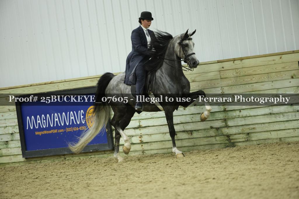 Proof Number 25BUCKEYE_07605