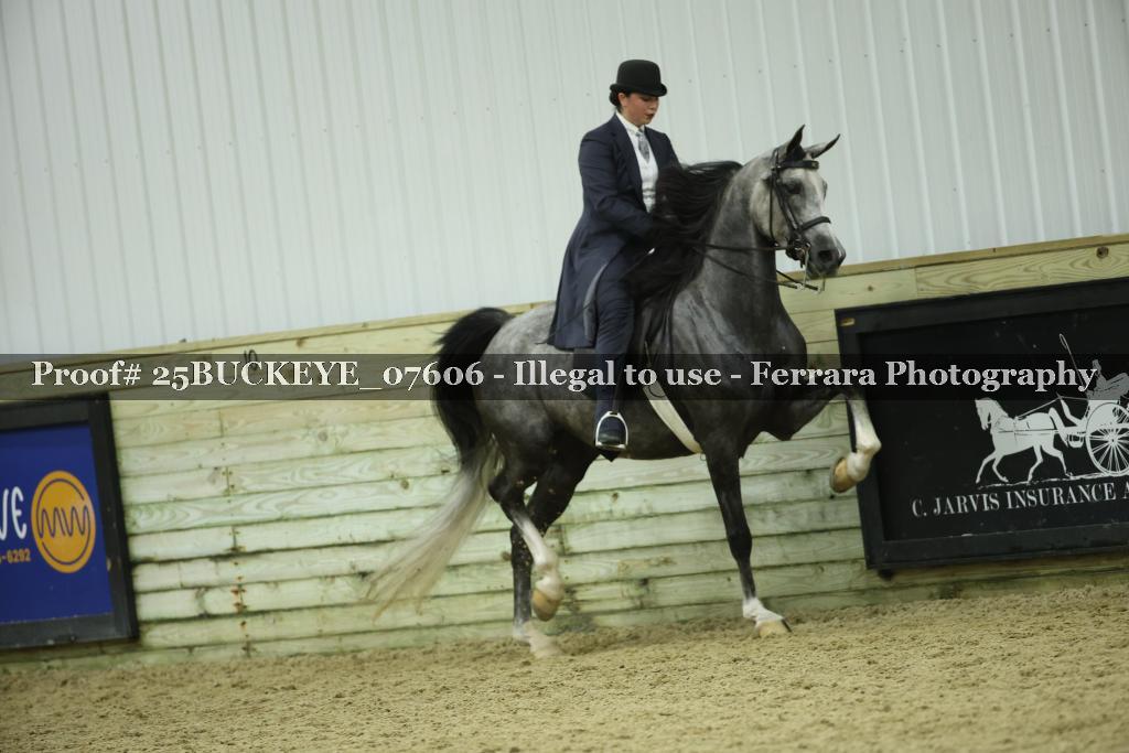Proof Number 25BUCKEYE_07606