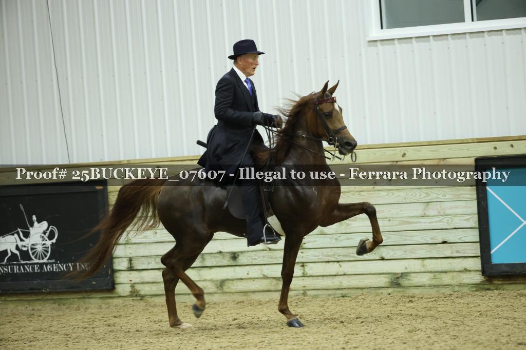 Proof Number 25BUCKEYE_07607
