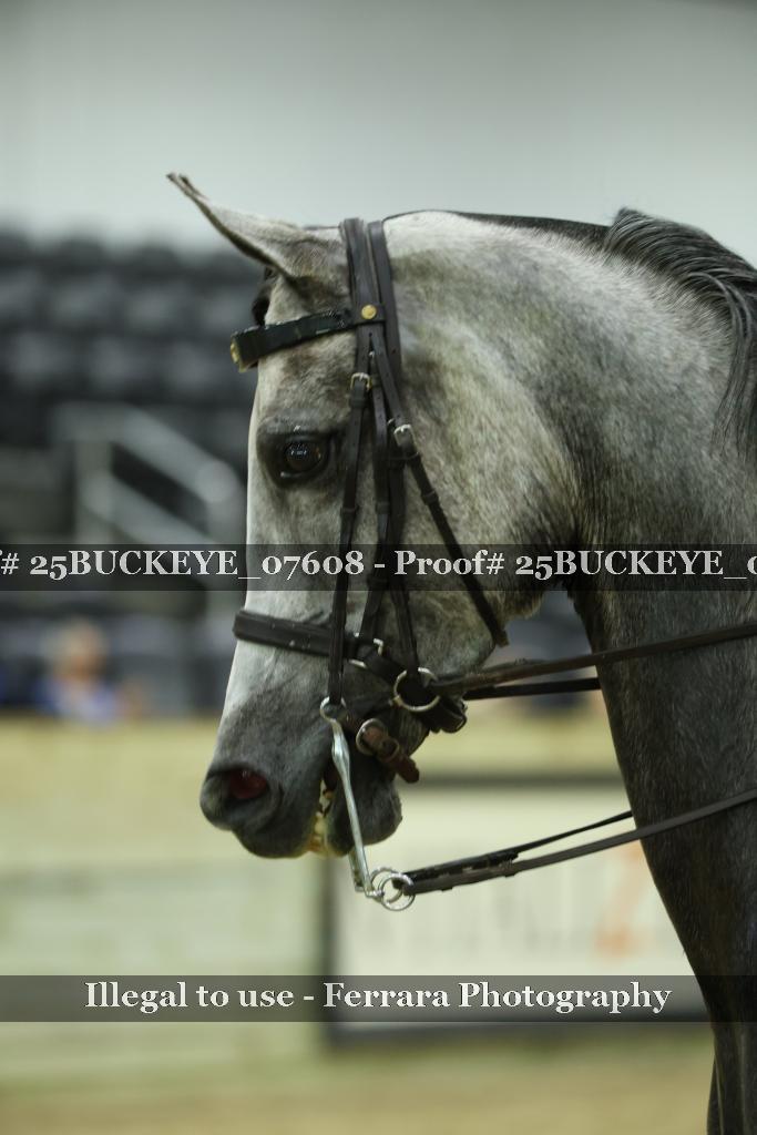 Proof Number 25BUCKEYE_07608