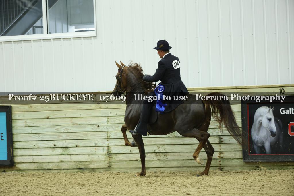 Proof Number 25BUCKEYE_07609