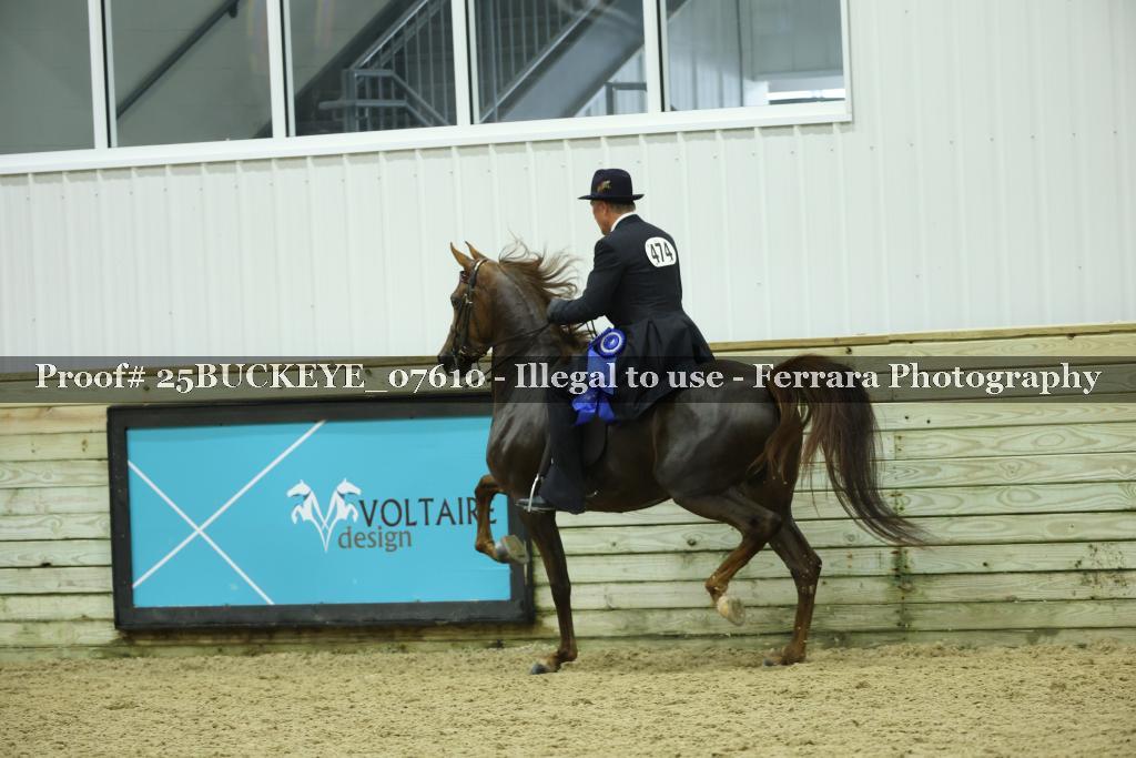 Proof Number 25BUCKEYE_07610