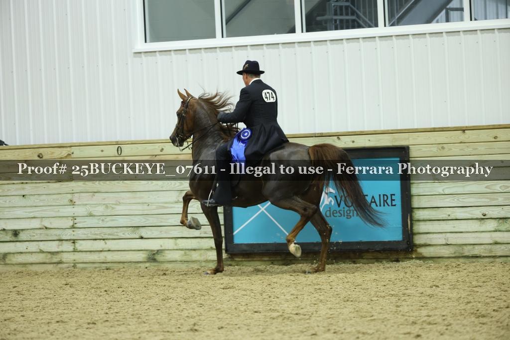 Proof Number 25BUCKEYE_07611