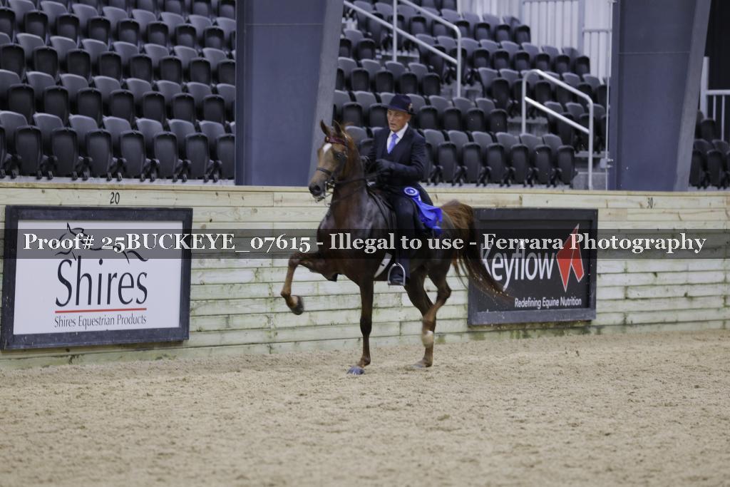 Proof Number 25BUCKEYE_07615