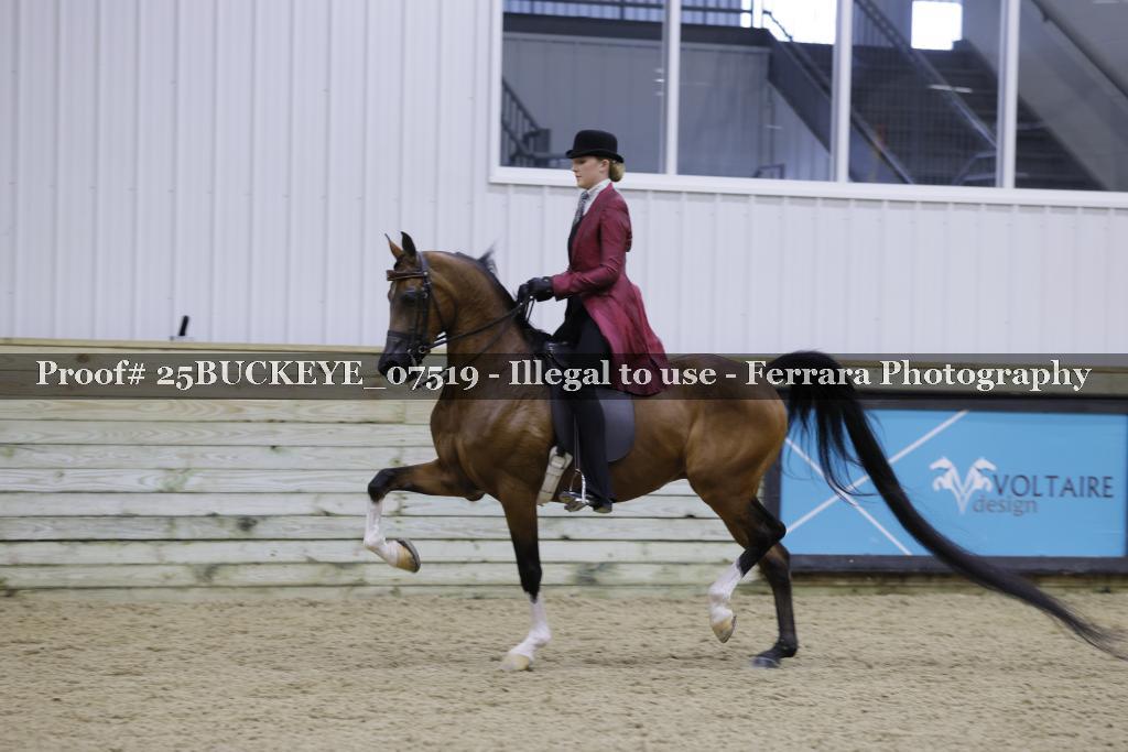 Proof Number 25BUCKEYE_07519