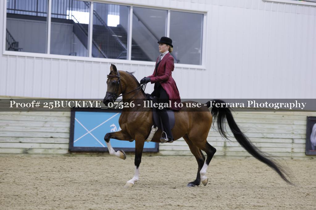 Proof Number 25BUCKEYE_07526