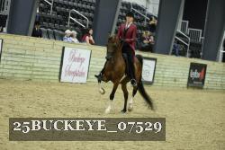 25BUCKEYE_07529 thumbnail