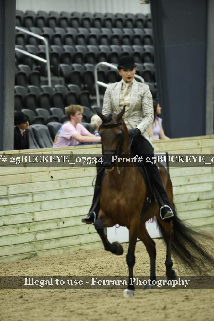 Proof Number 25BUCKEYE_07534
