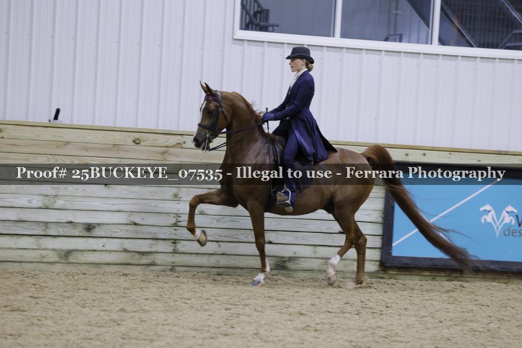 Proof Number 25BUCKEYE_07535