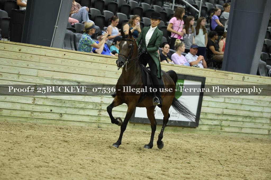 Proof Number 25BUCKEYE_07536