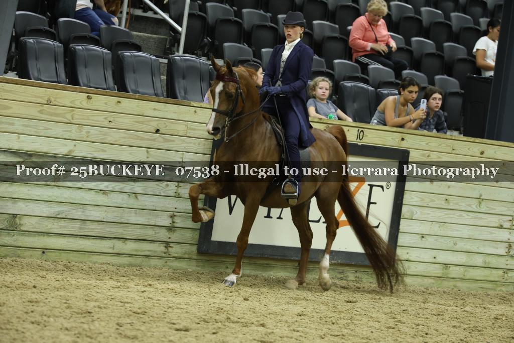 Proof Number 25BUCKEYE_07538