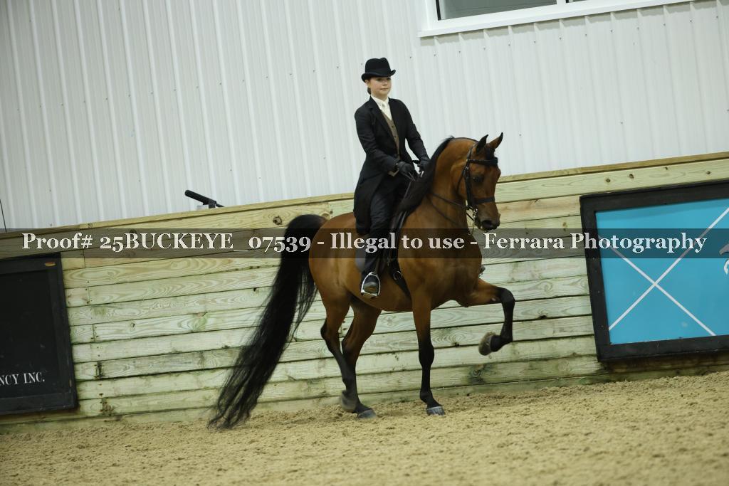 Proof Number 25BUCKEYE_07539