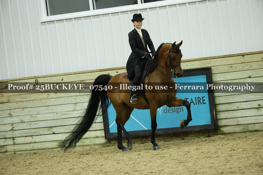 Proof Number 25BUCKEYE_07540