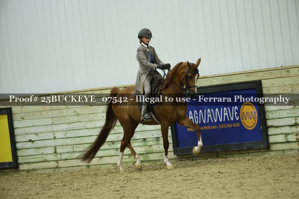 Proof Number 25BUCKEYE_07542