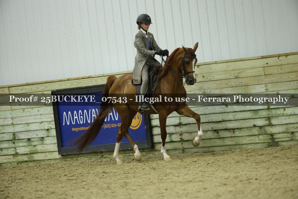 Proof Number 25BUCKEYE_07543