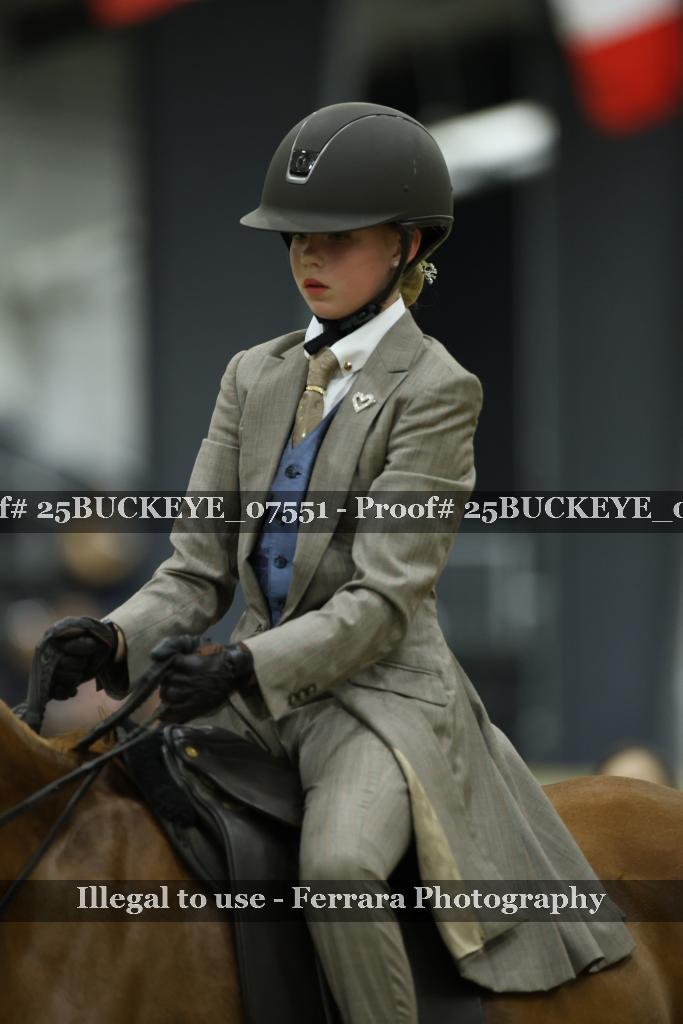 Proof Number 25BUCKEYE_07551