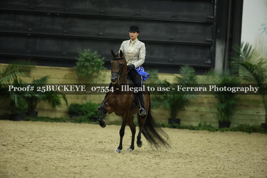 Proof Number 25BUCKEYE_07554