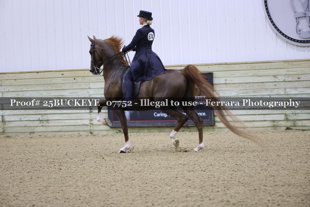 Proof Number 25BUCKEYE_07752